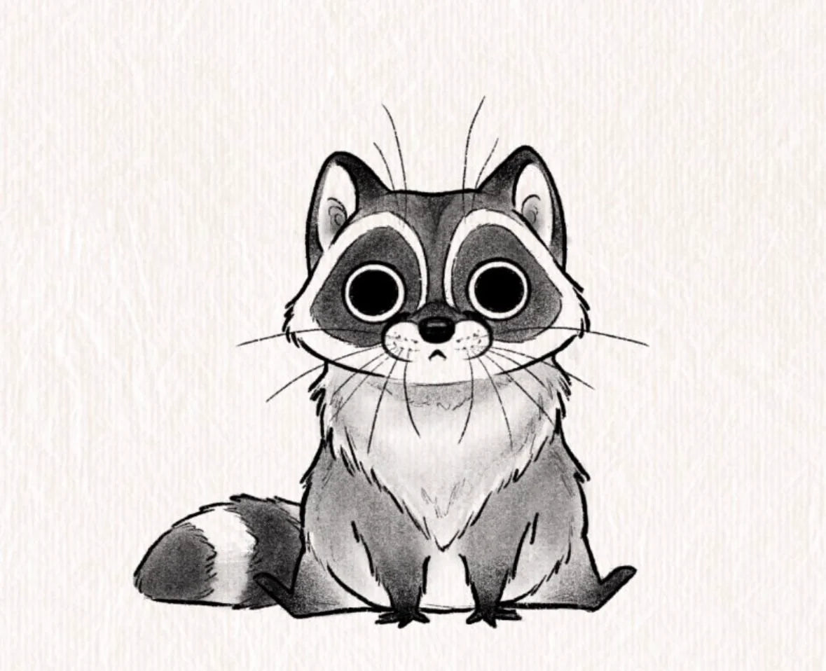 Raccoon - 4 & 7 November