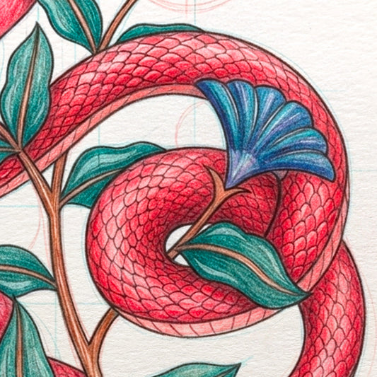 Serpent pour Adultes - 2 Mars