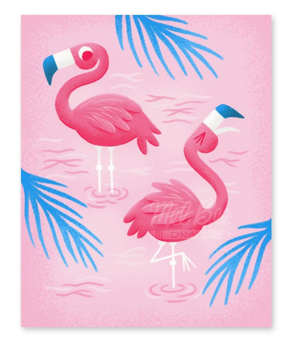Flamand rose - 23 & 26 Juin