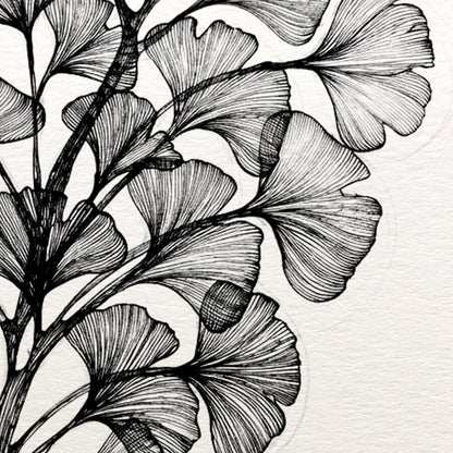Ginkgo for Adults - 5 January