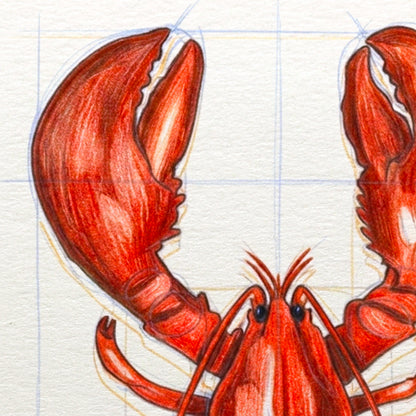 Homard pour Adultes - 8 Juin