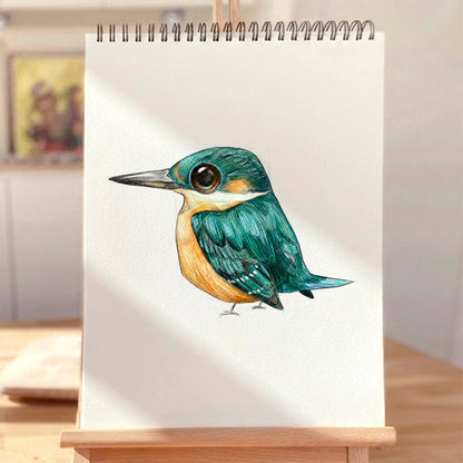 Kingfisher for Adults - 25 May