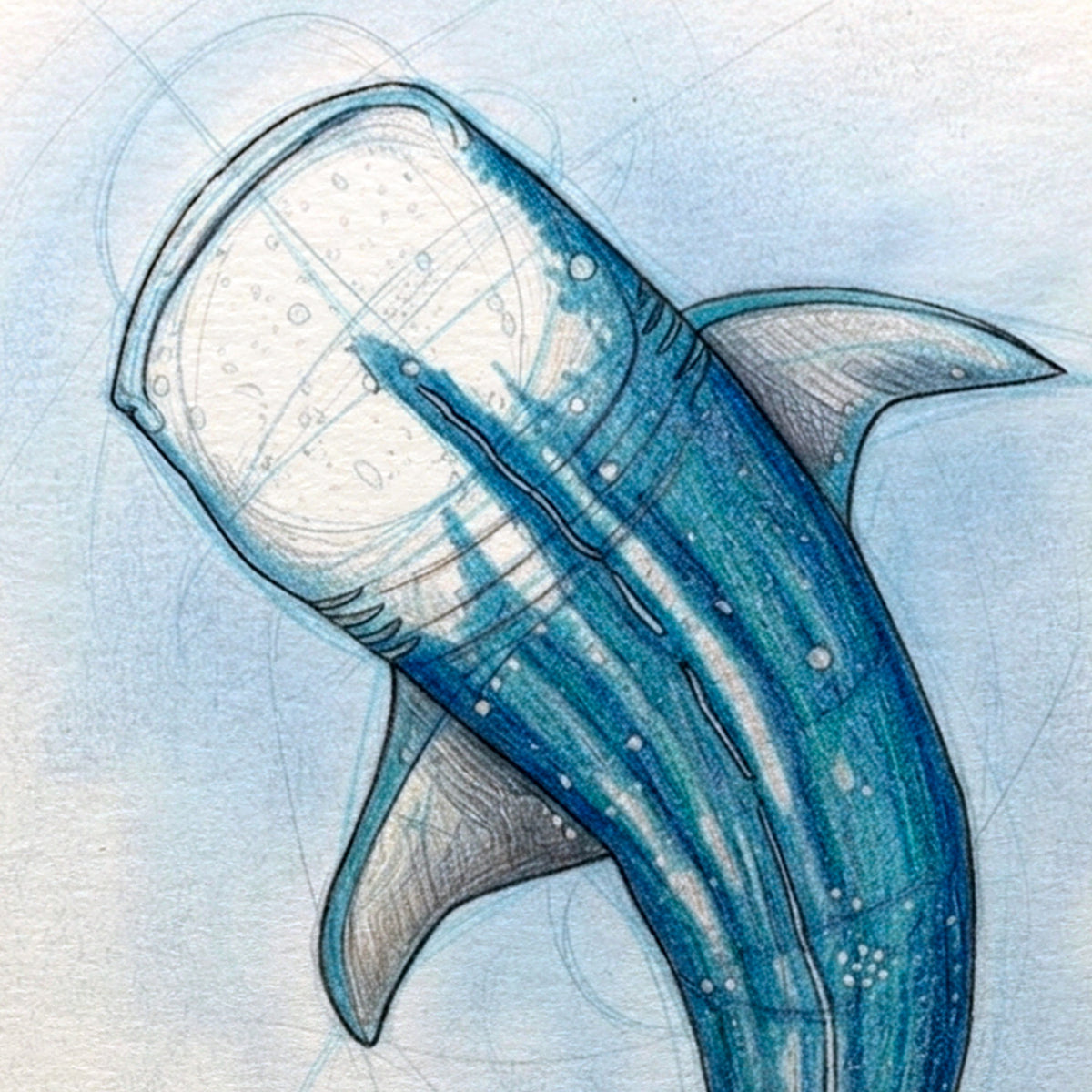 Whale Shark for Adults - 29 September