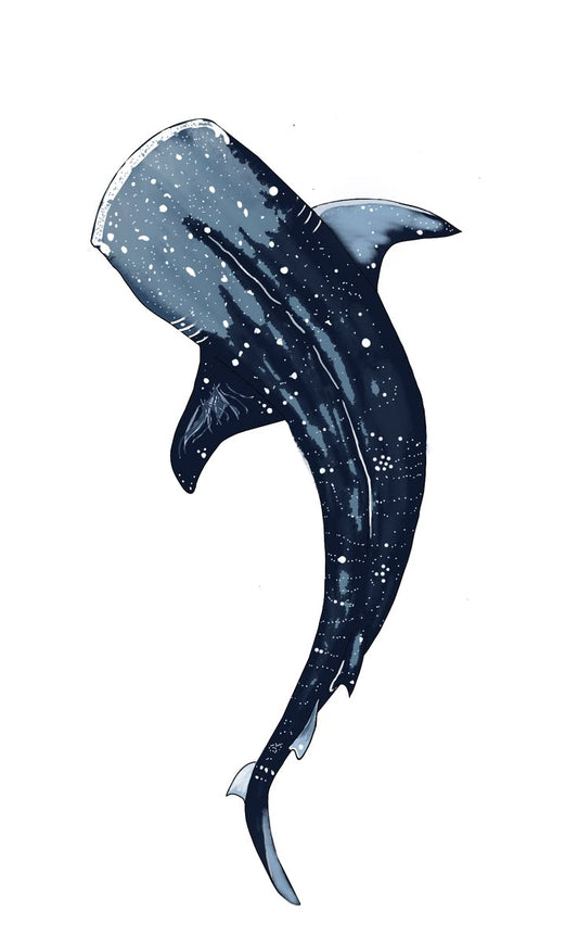 Whale shark - 23 & 26 September