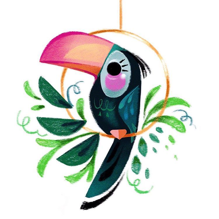 Toucan - 9 & 12 Juin